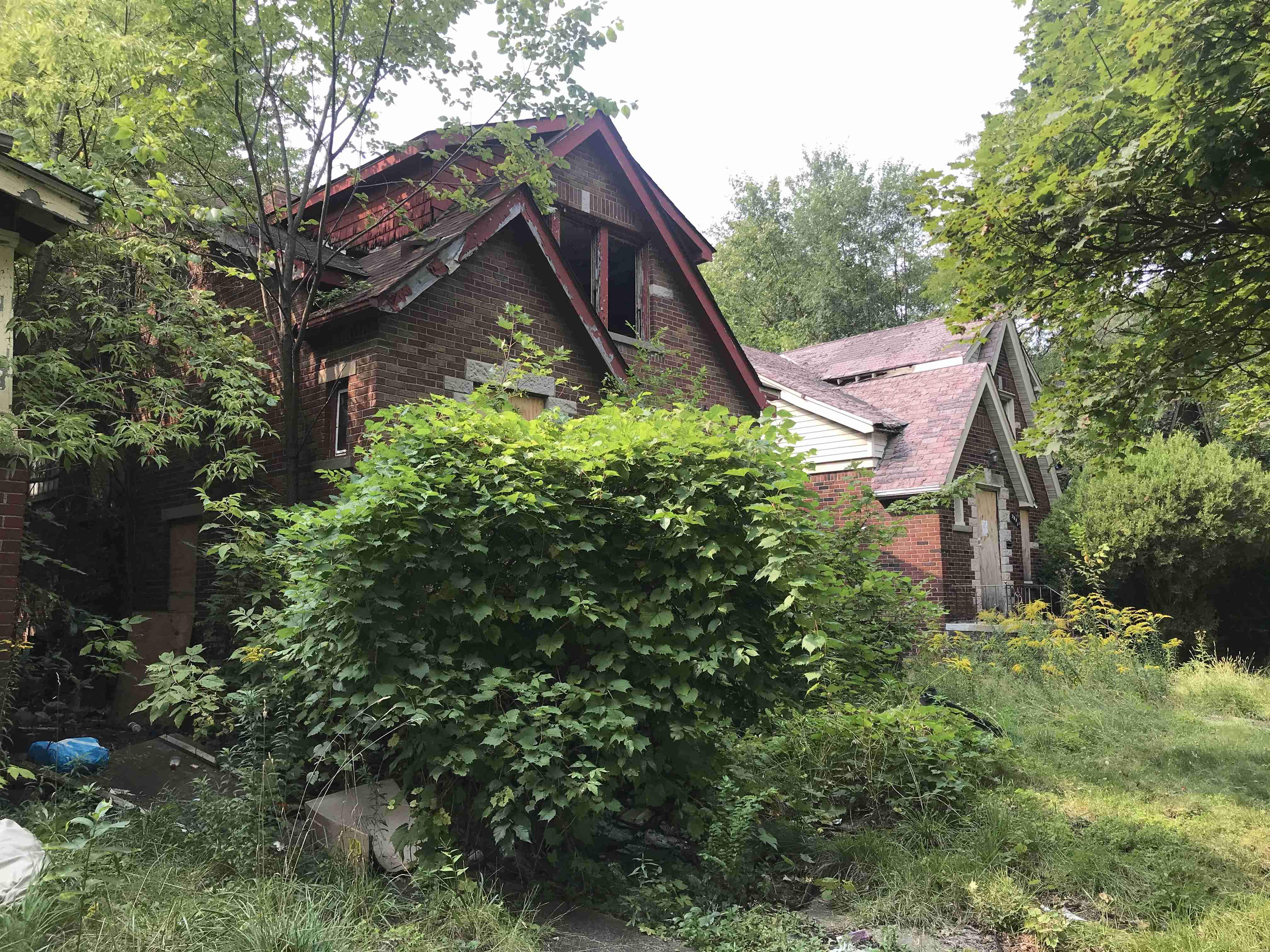 Photo Sep 15, 3 25 08 PM.jpg